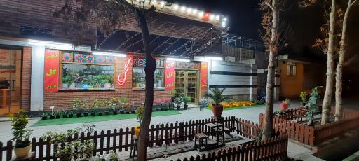 عکس دهکده گل قاسم آباد (نارسیس)