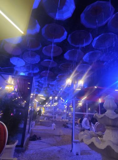 عکس شب‌های رویایی