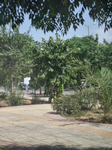 عکس بوستان شهیدان مصطفایی