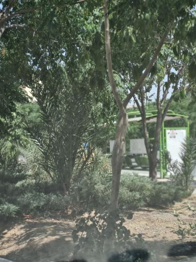 عکس بوستان شهیدان مصطفایی