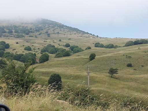 عکس جیرنده
