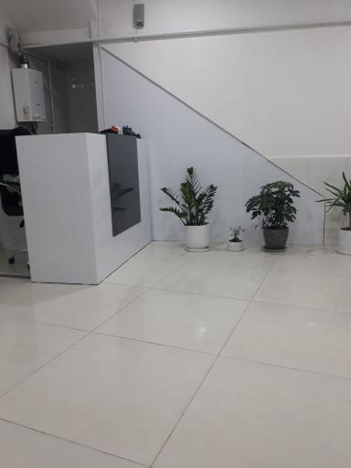 عکس کلینیک سونوگرافی دکتر فائزه سازگارا