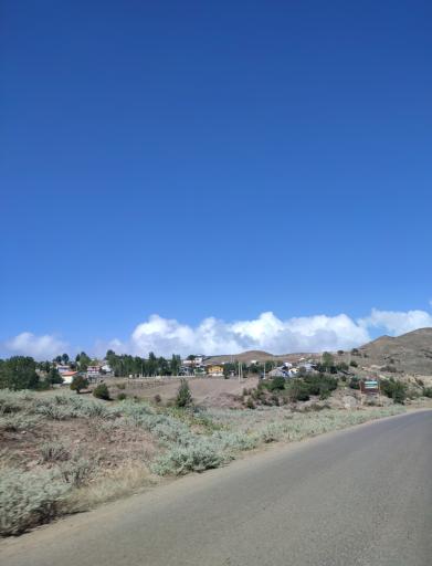 عکس جیرنده