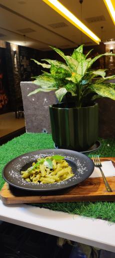 عکس کافی شاپ بست