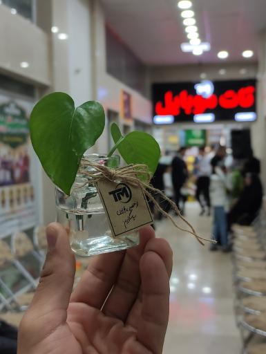 عکس تات موبایل فروشگاه مرکزی 