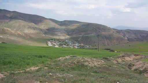 عکس جیرنده