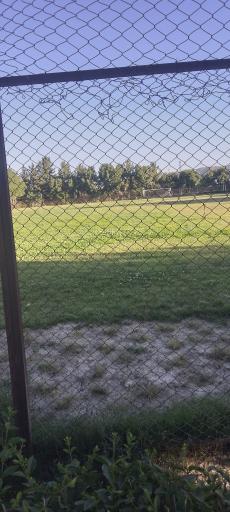 عکس مجموعه ورزشی شماره 2 کارگران