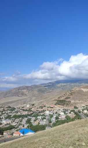 عکس جیرنده