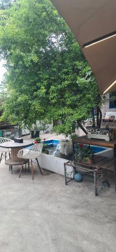 عکس پلوخونه