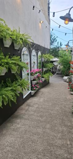 عکس پلوخونه