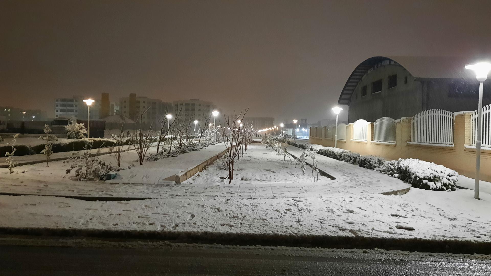 عکس پارک پیاده روی