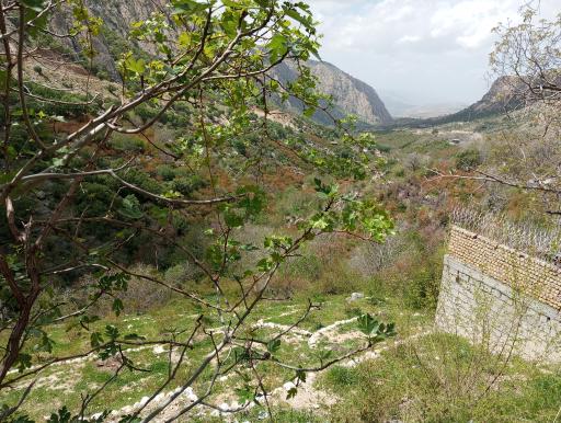 عکس تنگه توریستی بوان ممسنی