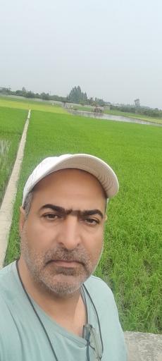 کوشیکلا
