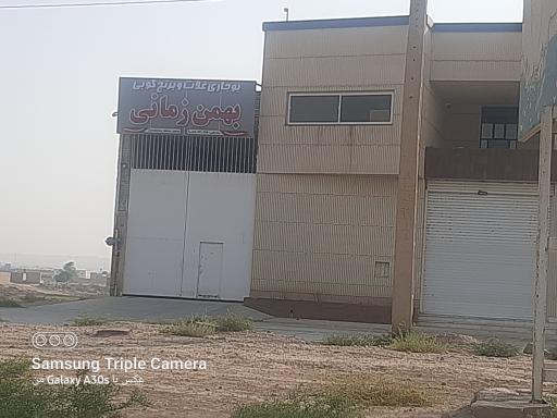 عکس برنج کوبی بهمن زمانی