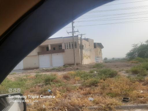 عکس برنج کوبی بهمن زمانی