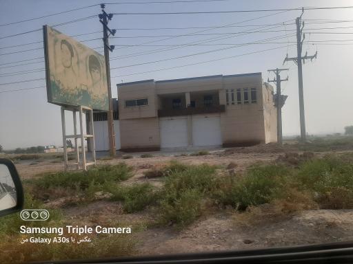 عکس برنج کوبی بهمن زمانی