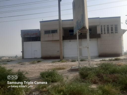 عکس برنج کوبی بهمن زمانی