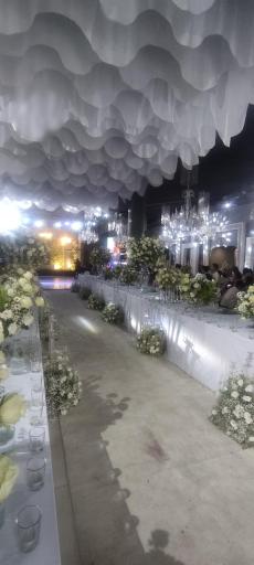 عکس باغ عمارت ابریشم (ماریس)