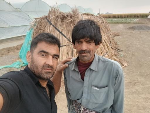 گلخانه  رضا سالار محمودی