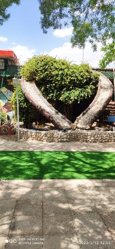 عکس باغ رستوران کاکتوس 