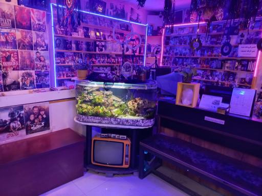 عکس ویدئو کلوپ آقاجان