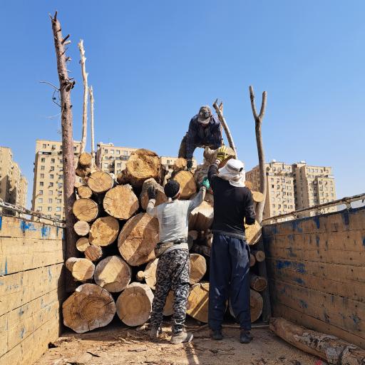 عکس چوب فروشی 