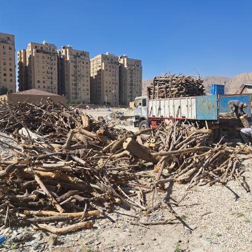 عکس چوب فروشی 