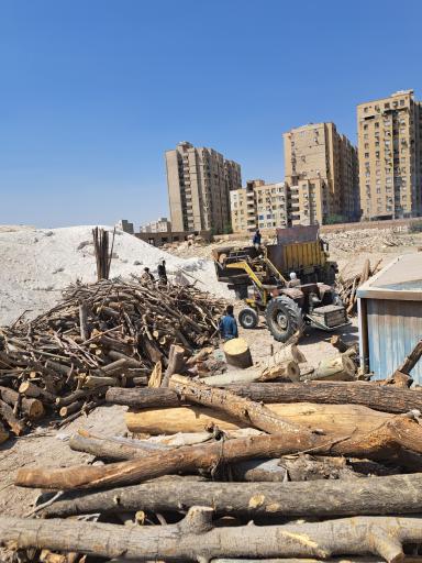 عکس چوب فروشی 