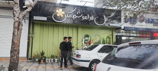 عکس گل فراموشم مکن