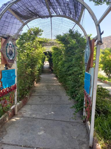 عکس مجتمع فرهنگی تفریحی ورزشی شهید احمد کاظمی