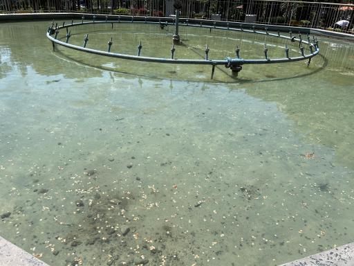 عکس بوستان ستارخان