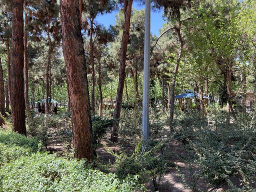 بوستان ستارخان