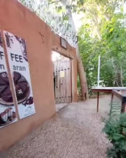 عکس کافه باغ چناران