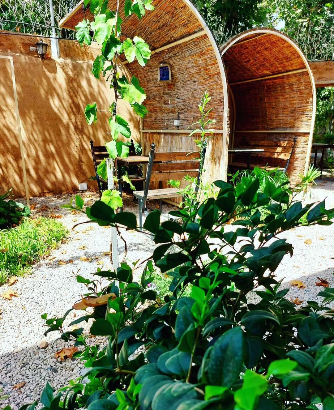 عکس کافه باغ چناران