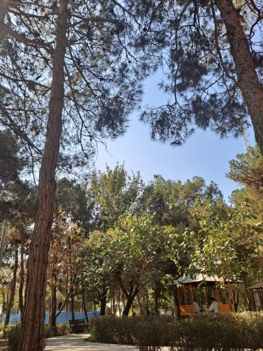 عکس بوستان ستارخان