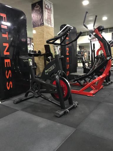 عکس باشگاه بدنسازی وین