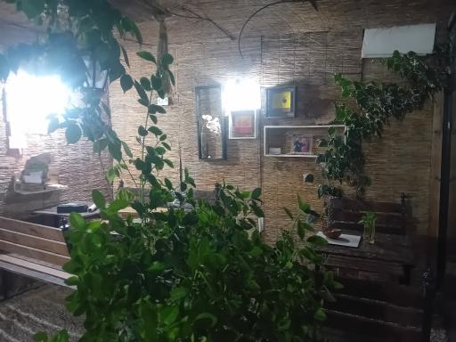 عکس کافه باغ چناران