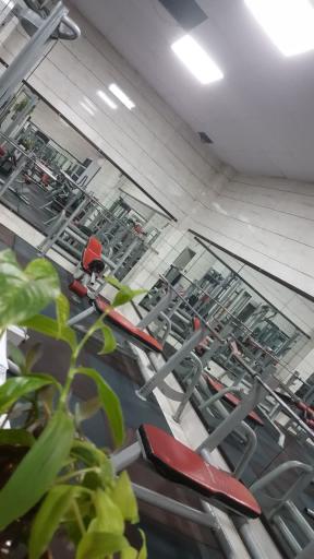 عکس باشگاه ورزشی رکورد