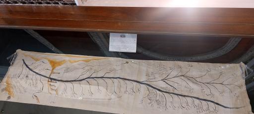 عکس تالار الماس