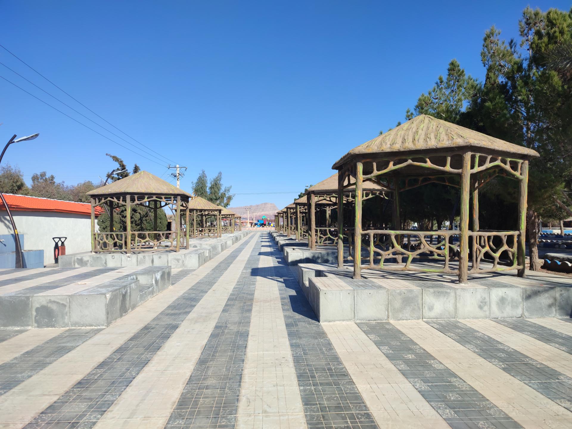 عکس پارک جنگلی