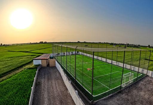 مجتمع ورزشی هامین 