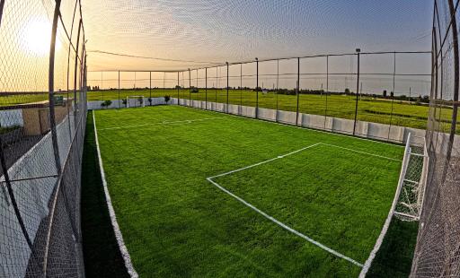 مجتمع ورزشی هامین 