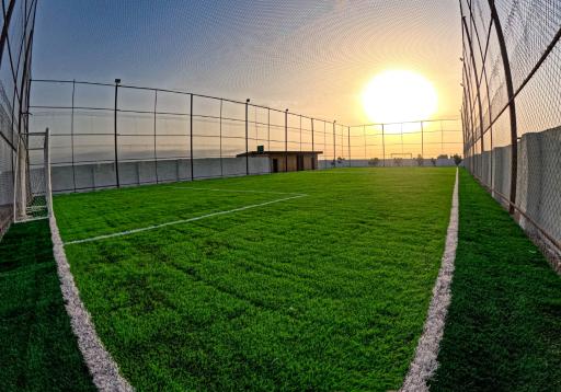 مجتمع ورزشی هامین 