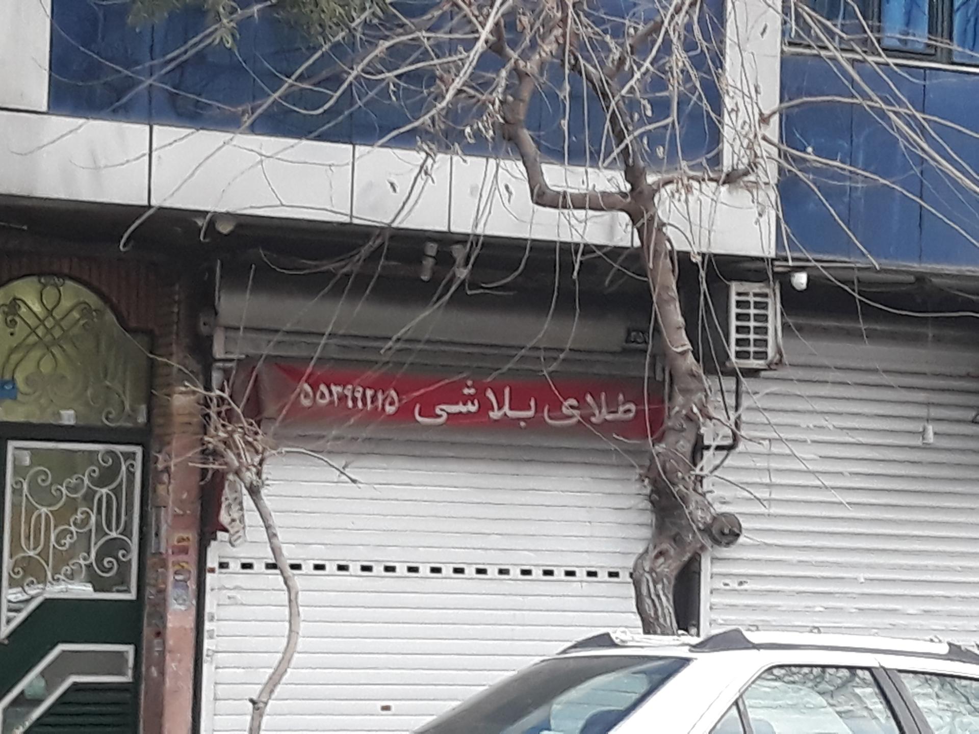 عکس طلای بلاشی