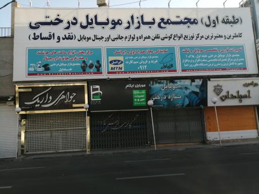 عکس موبایل ستاره درختی