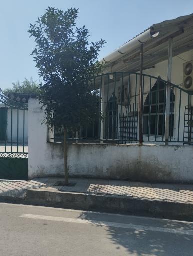 عکس میرده سفلی