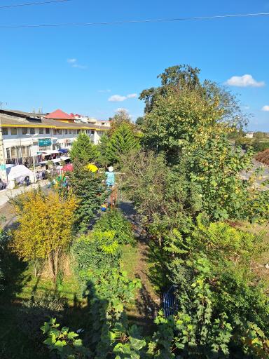 عکس پارک ساحلی گلیا