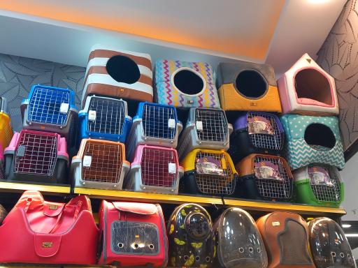 عکس پت شاپ چیکو شعبه دو