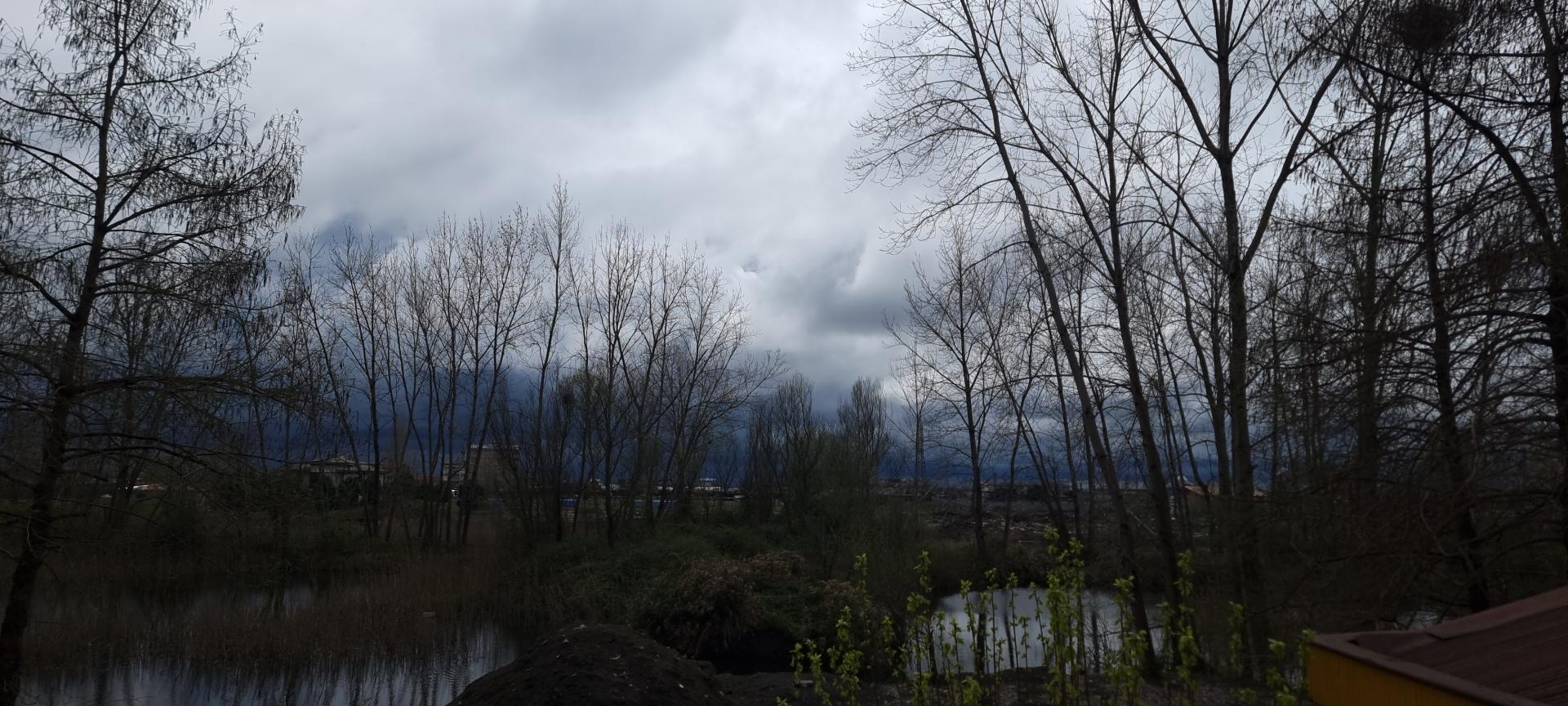 عکس دریاچه قو