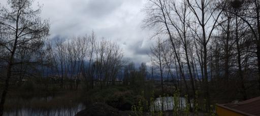 عکس دریاچه قو